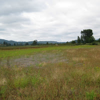 Superfund EPA Cleanup