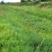 Superfund EPA Cleanup