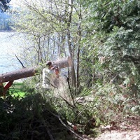 Tree Damage