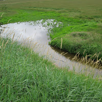 Superfund EPA Cleanup
