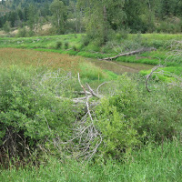 Superfund EPA Cleanup