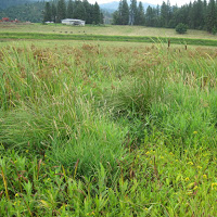 Superfund EPA Cleanup