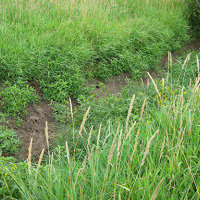 Superfund EPA Cleanup